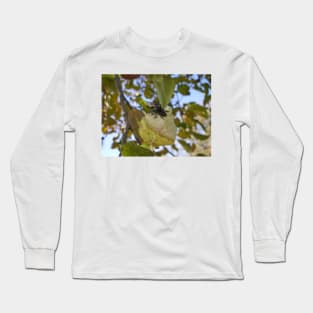 Spider and the Fly Long Sleeve T-Shirt